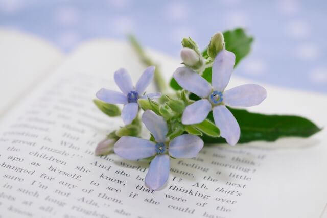 本のしおり代わりに花を置いている写真